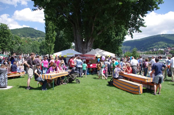 Lebendiger Neckar – 17.06.2012